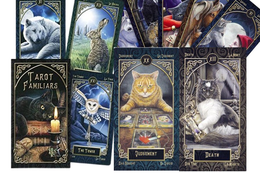 小説読者限定企画】Tarot Familiar